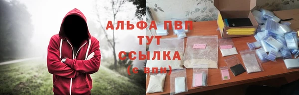 стафф Богданович