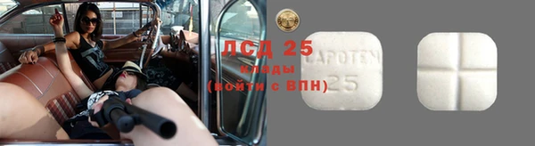 mdpv Богородск
