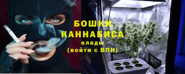 стафф Богданович