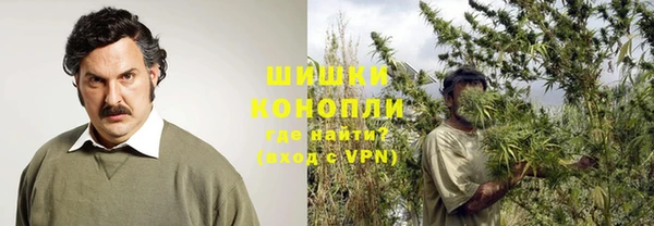 стафф Богданович